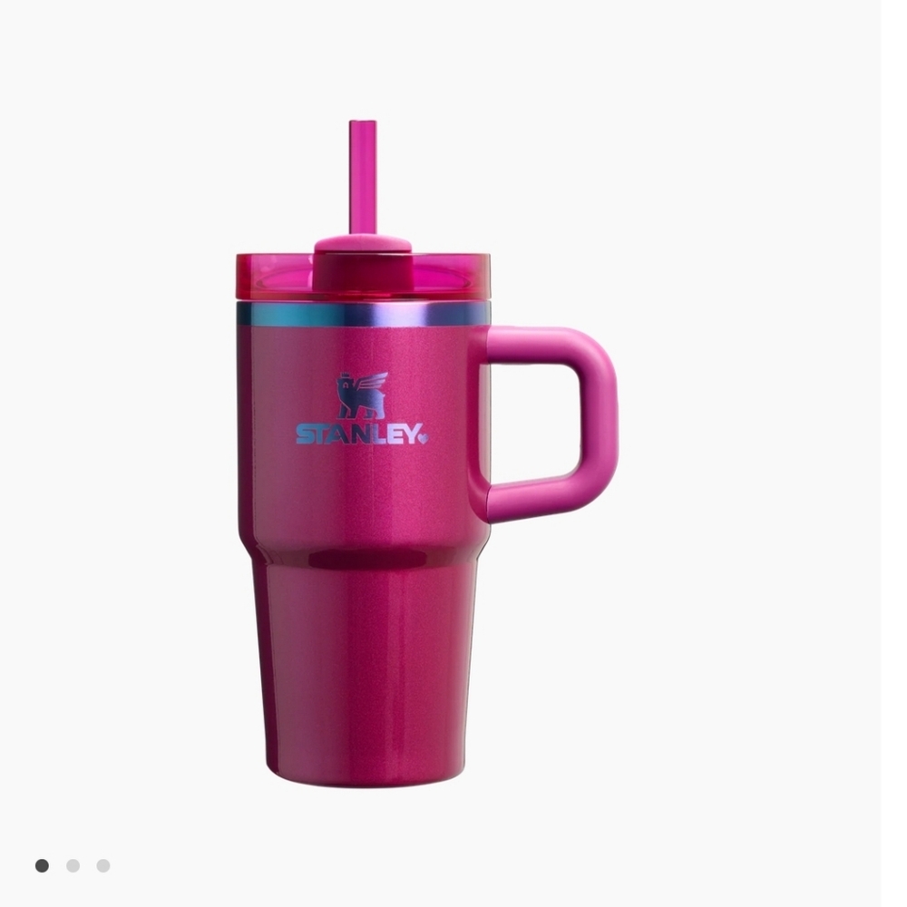The Valentine’s Day Quencher H2.O FlowStat Tumbler with Handle | 20 OZ -…